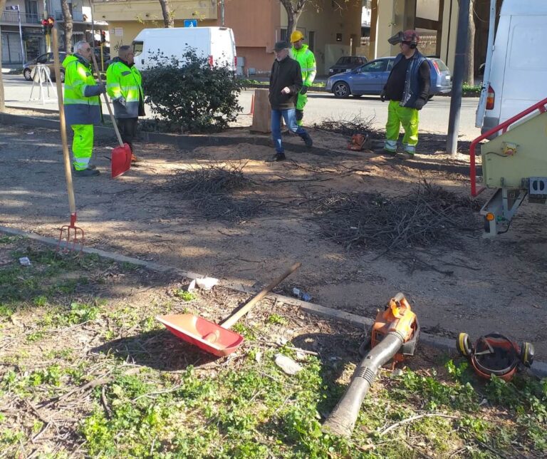 lavori albero viale calabria