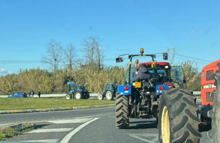 proteste agricoltori