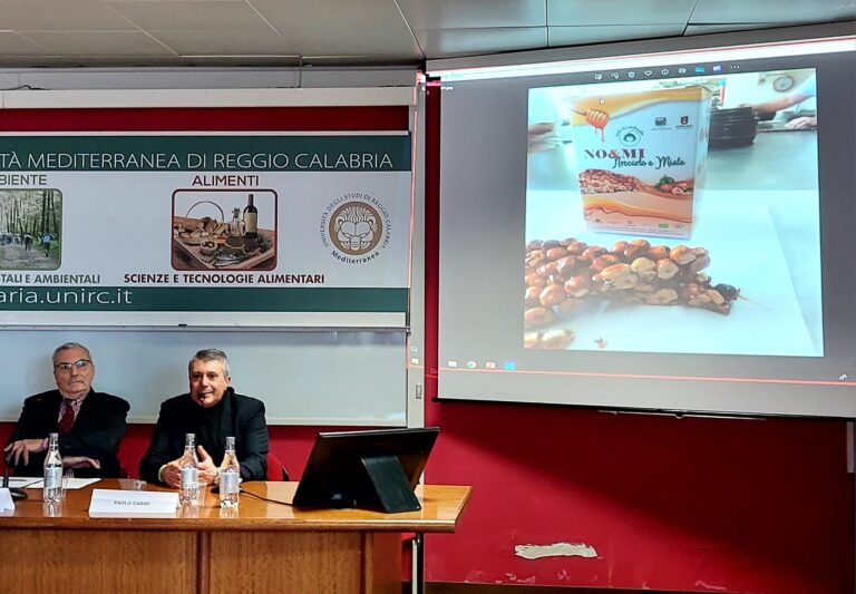 Convegno_Universita_mediterranea