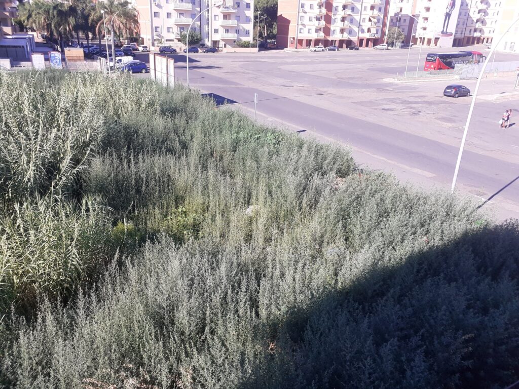 Lavori fermi Orto Botanico Viale Messina Reggio Calabria