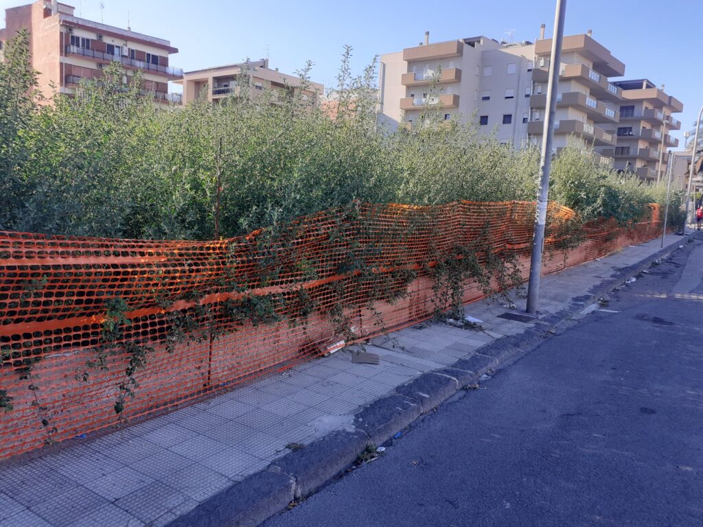 Lavori fermi Orto Botanico Viale Messina Reggio Calabria