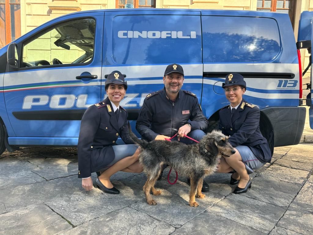 cane lisa adottato dalla polizia di reggio