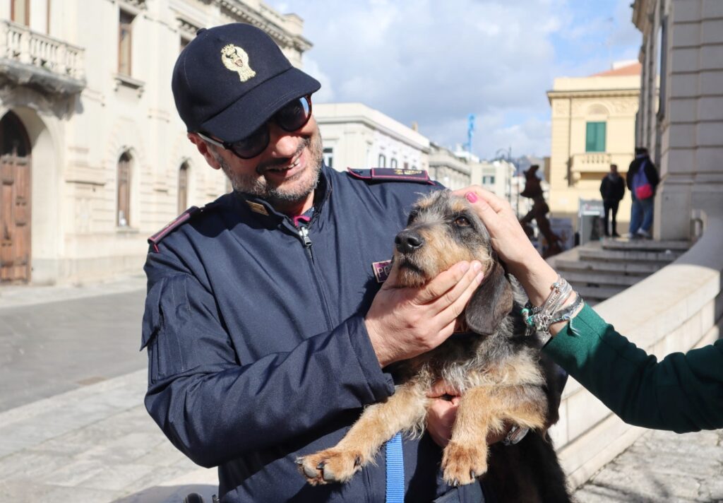 cane lisa adottato dalla polizia di reggio