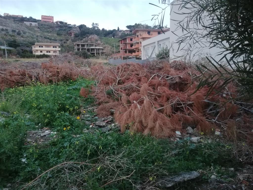 scuola media lazzaro