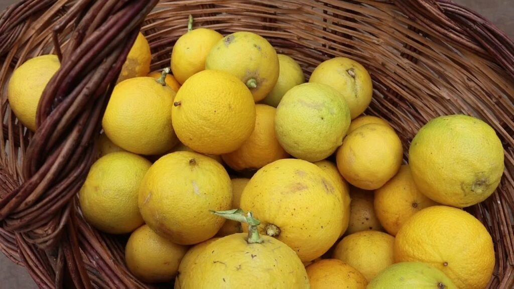 Bergamotto di Reggio Calabria