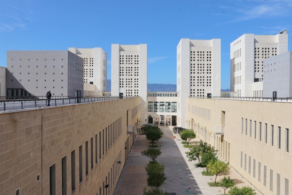 Università Mediterranea di Reggio Calabria