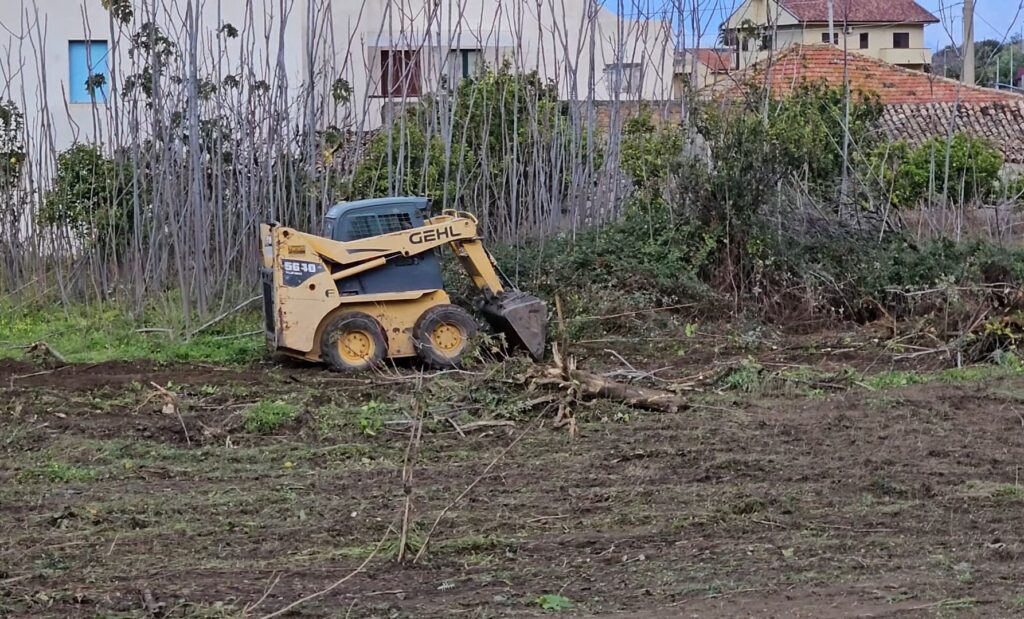 giardino esperidi