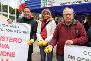 protesta consiglio regionale calabria agricoltori bergamotto