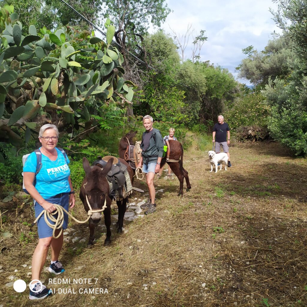 trekking borgo nocille