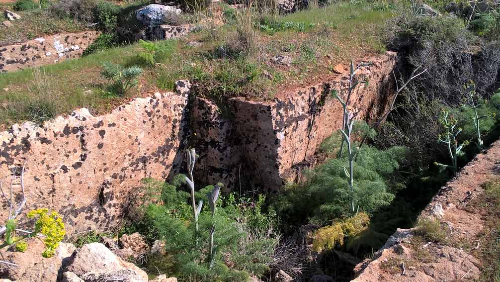 Archeologia mazara del vallo