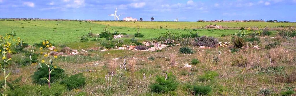 Archeologia mazara del vallo