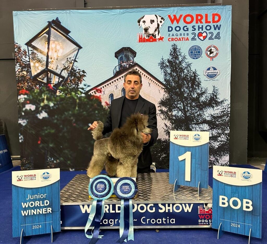 World Dog Show in Croazia, soddisfazione per la cinofilia reggina