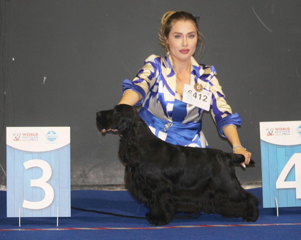 World Dog Show