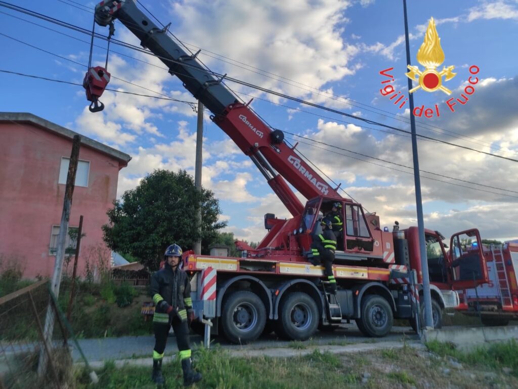 cavallo cade in un pozzo