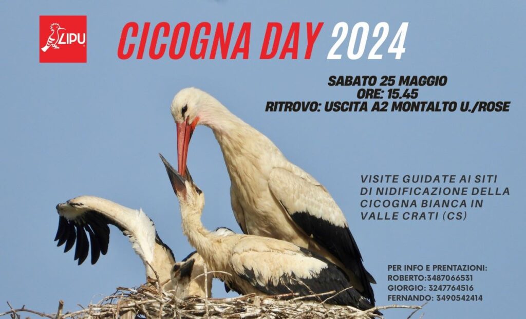 cicogna day 2024