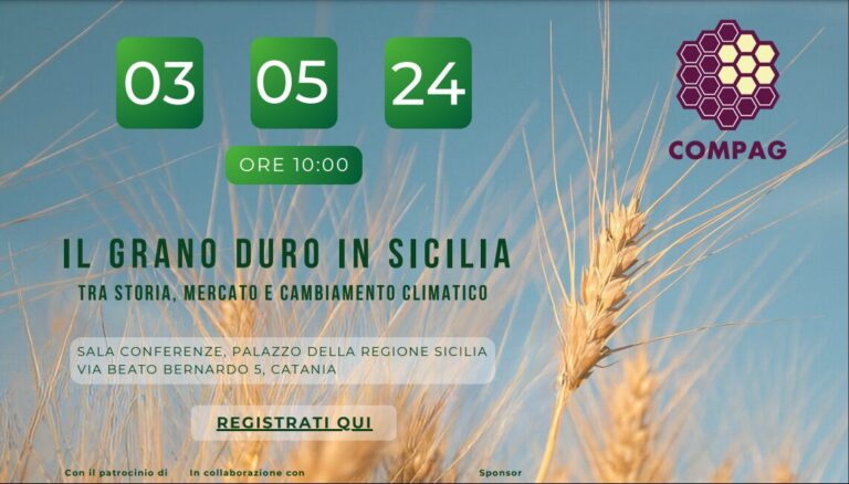 grano duro sicilia