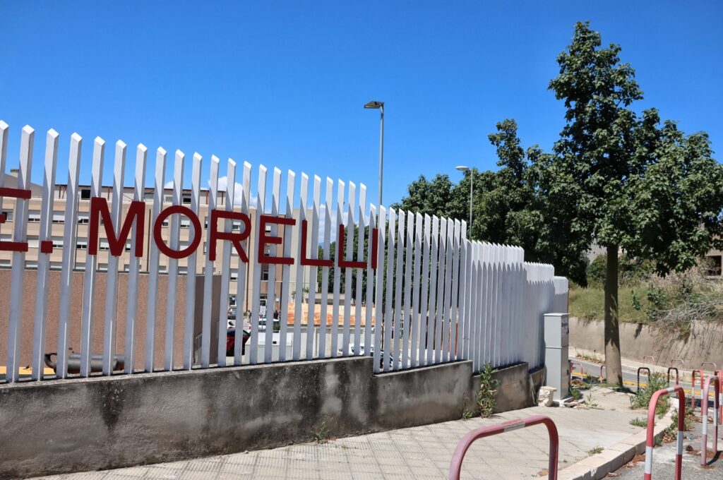 morelli