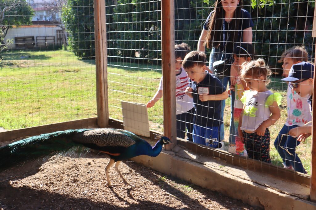 The Gruffalo ih British School Reggio Calabria