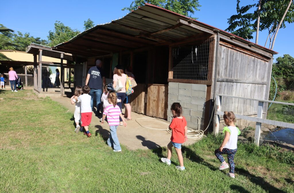 The Gruffalo ih British School Reggio Calabria