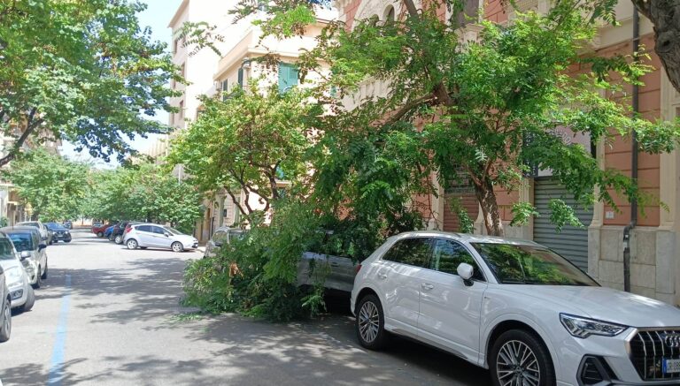albero crolla su auto