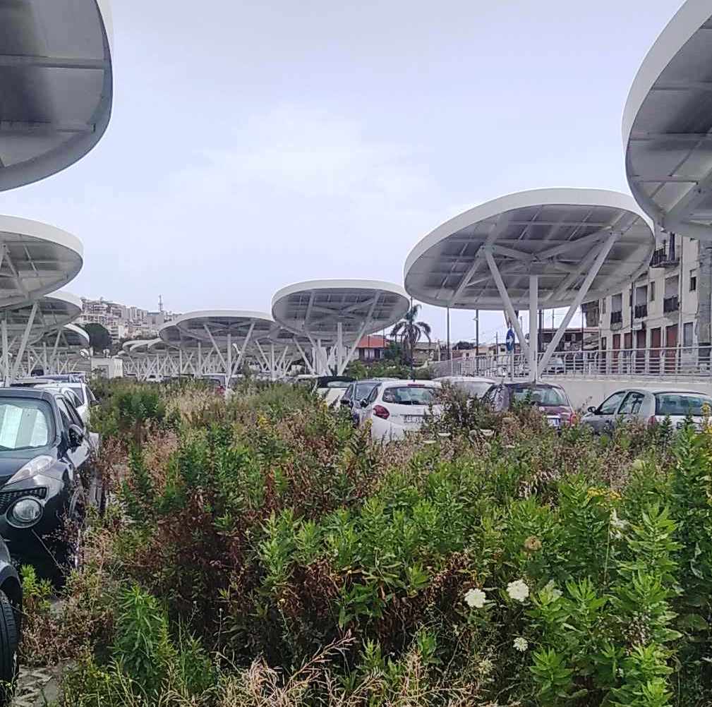 erbacce piazzale porto