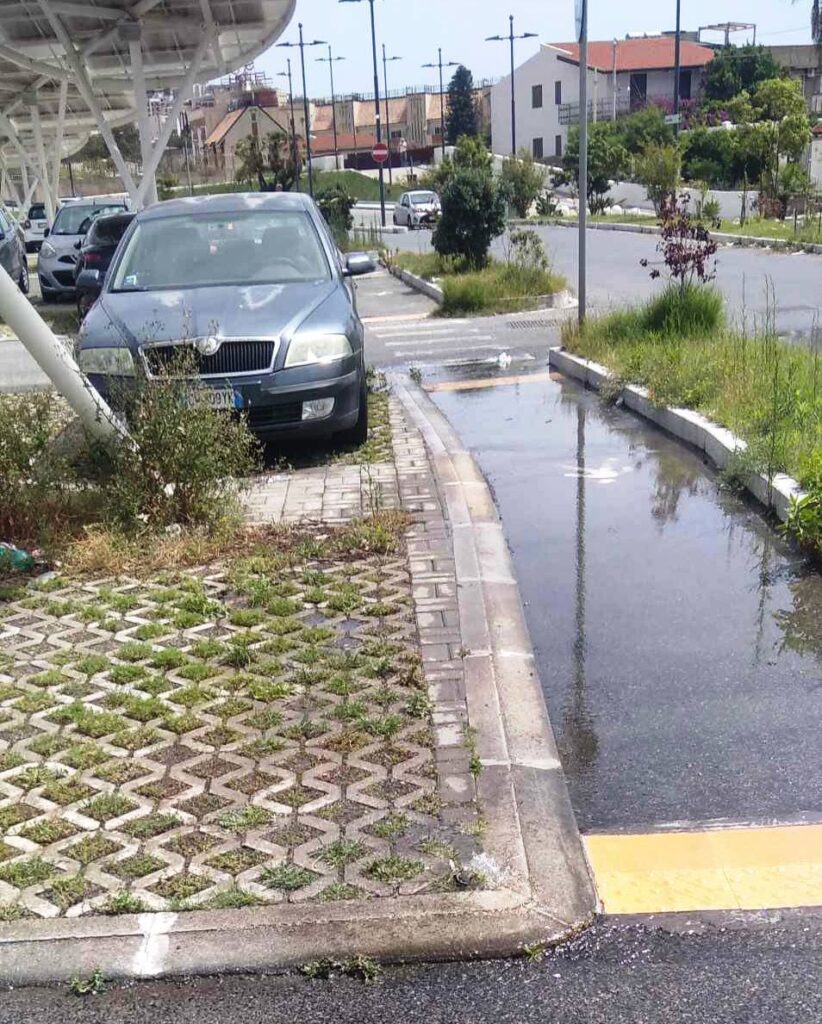 erbacce piazzale porto