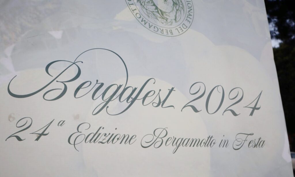 BergaFest 2024
