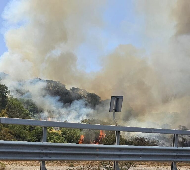 incendio Jonio-Tirreno