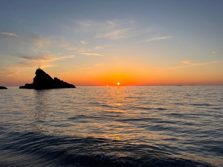 Palmi spiaggia dell'Ulivarella