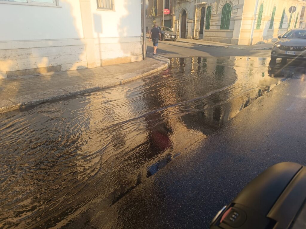 Perdita acqua Viale Genovese Zerbo