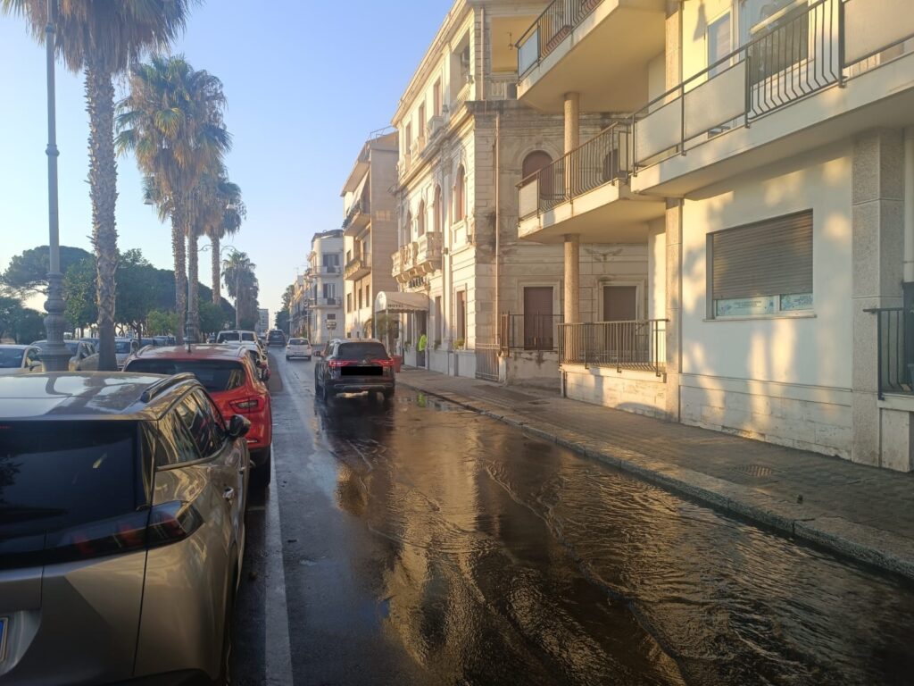 Perdita acqua Viale Genovese Zerbo