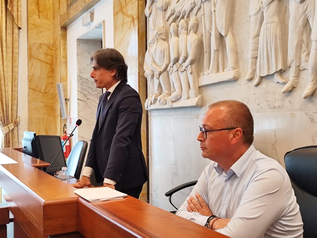 firma lsu città metropolitana reggio (1)