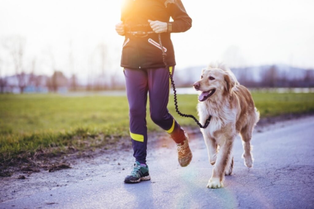 passeggiate cane