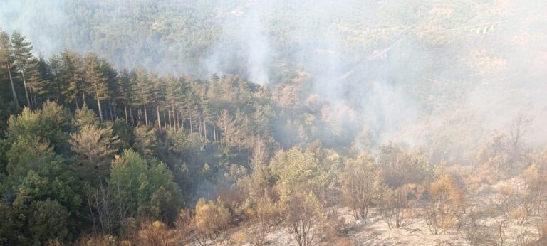 Incendio boschi di Manca San Giovanni in Fiore