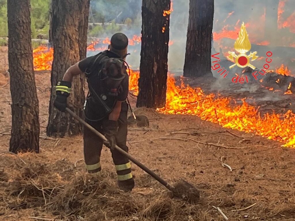 incendio bosco vigili del fuoco