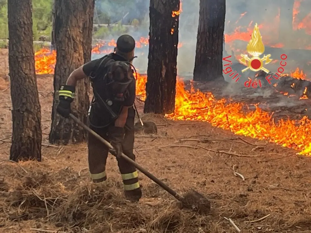 incendio bosco vigili del fuoco