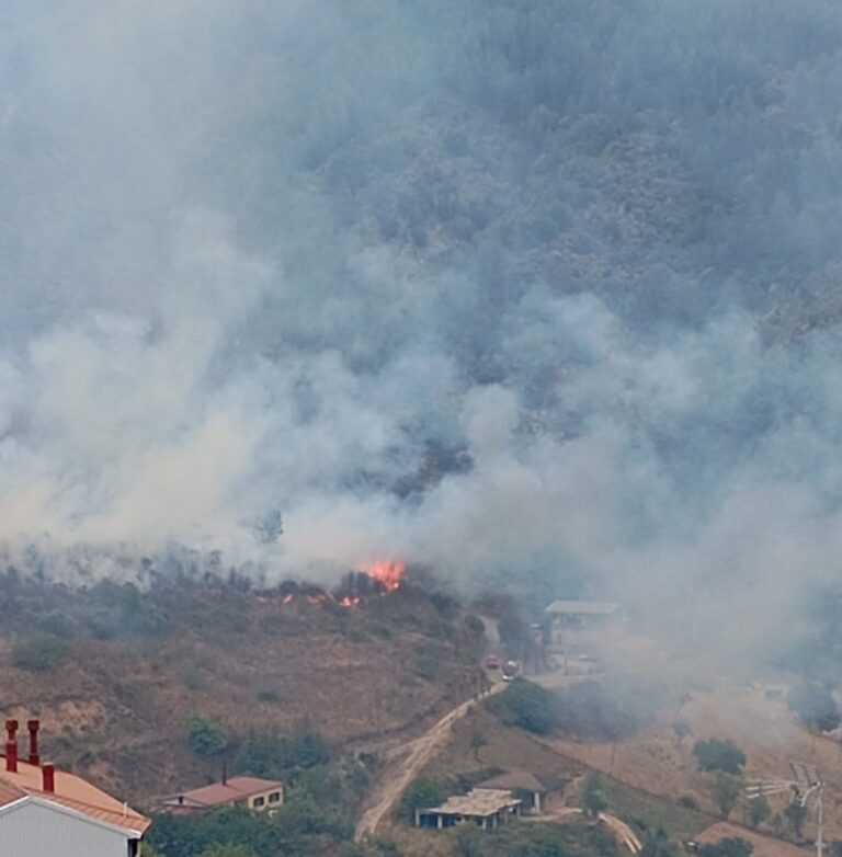 incendio san giovanni in fiore (2)