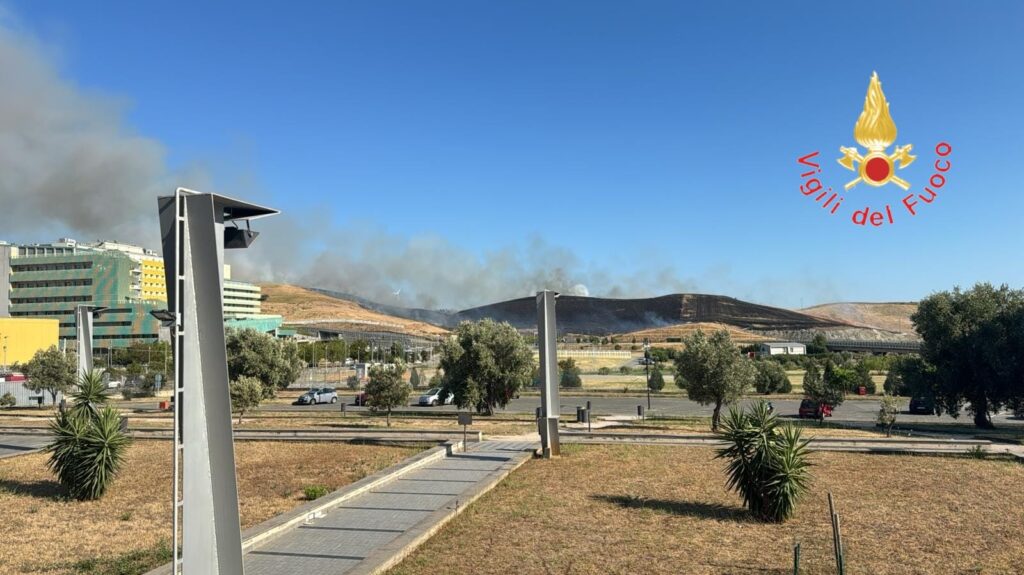 incendio vicino Cittadella Regionale