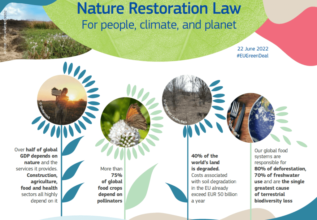 nature-restoration-law