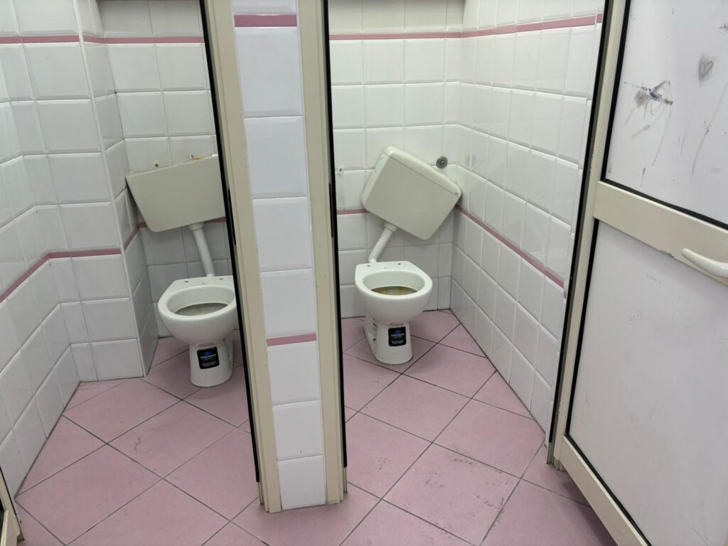 Bagno danneggiato scuola Scopelliti