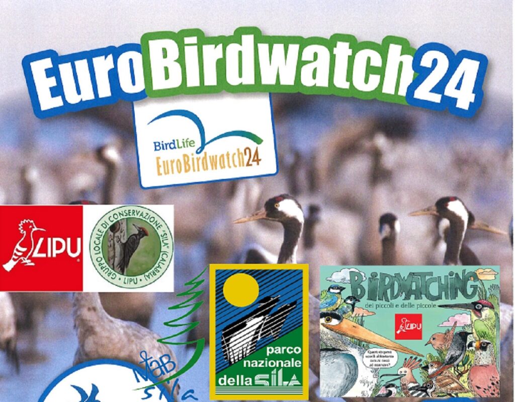 Eurobirdwatch