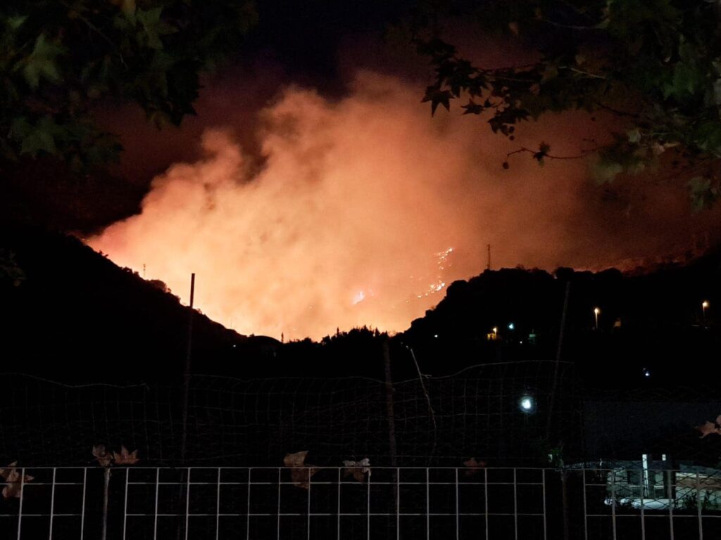 Incendio Palizzi