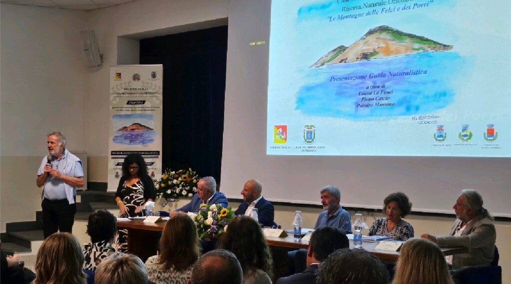 Presentazione guida turistica a Malfa