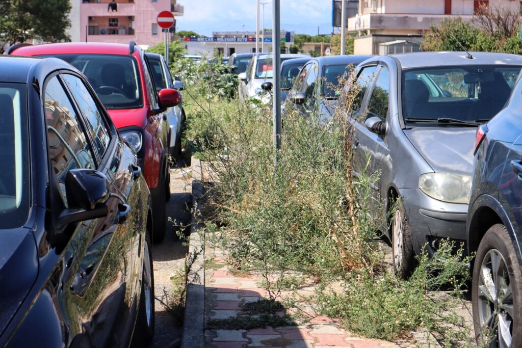 Scuola primaria Nosside Pytagoras distaccamento S.Elia