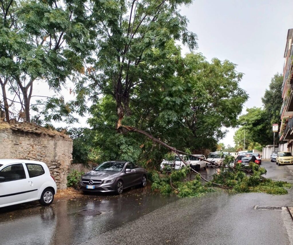 caduta alberi via provinciale archi