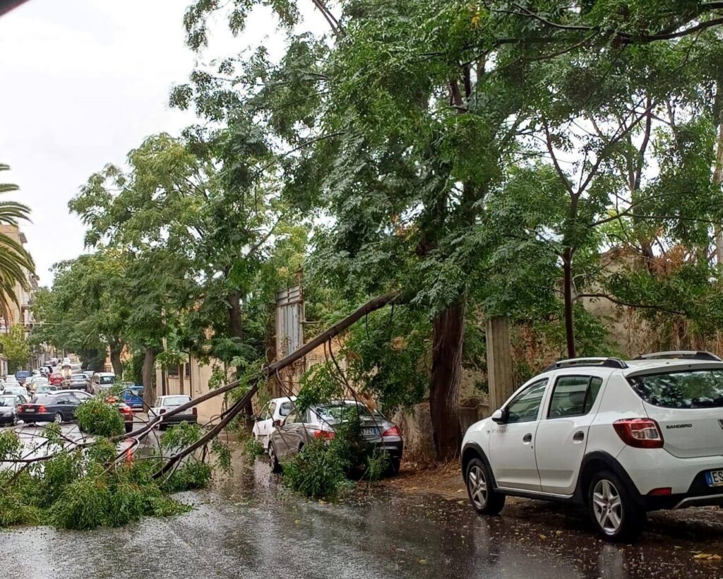 caduta alberi via provinciale archi