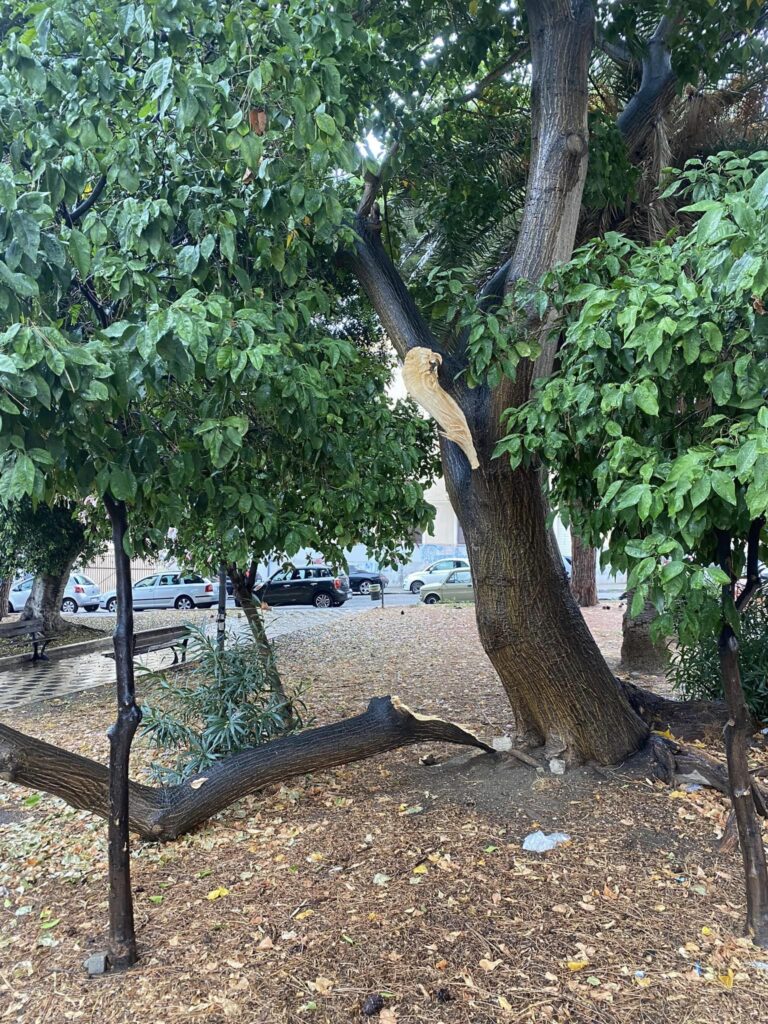 grosso ramo crolla piazzetta tremulini