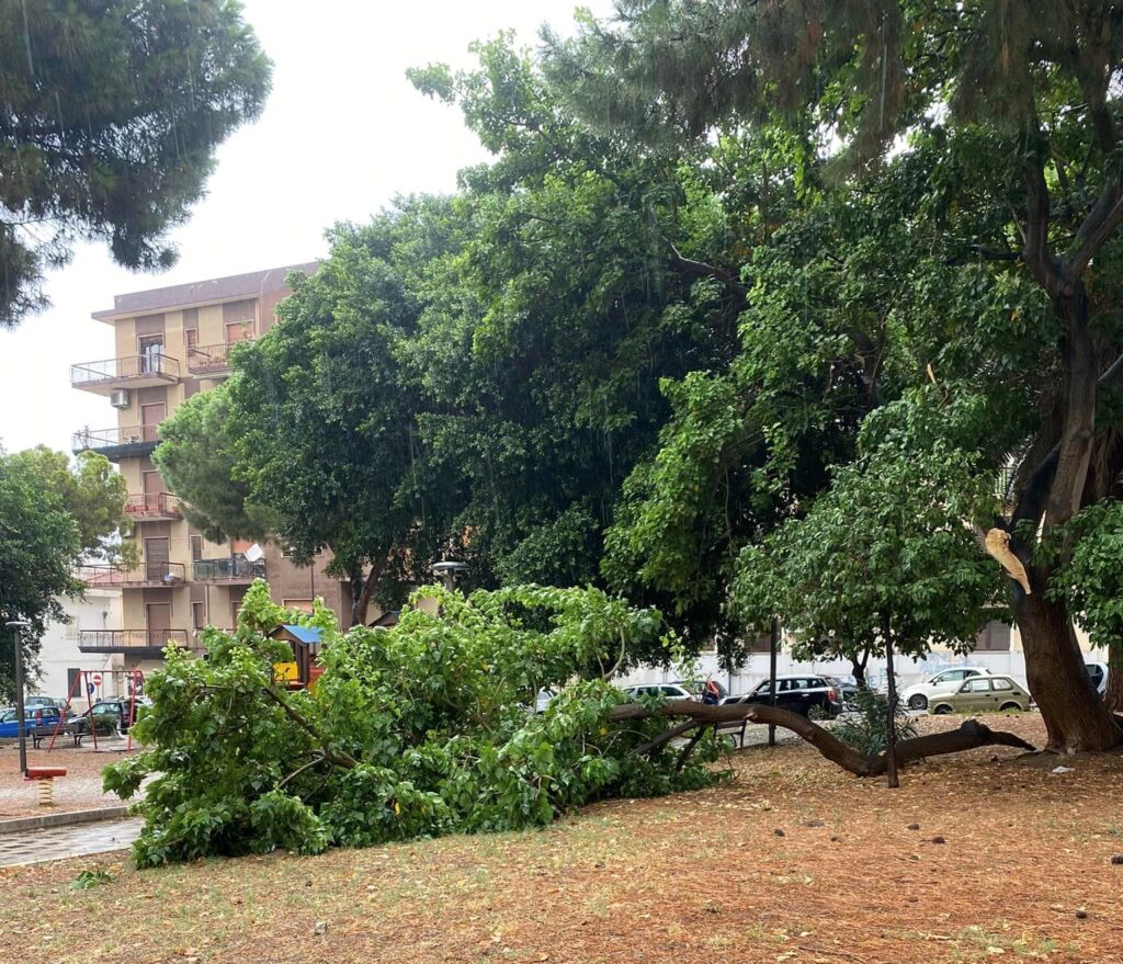 grosso ramo crolla piazzetta tremulini