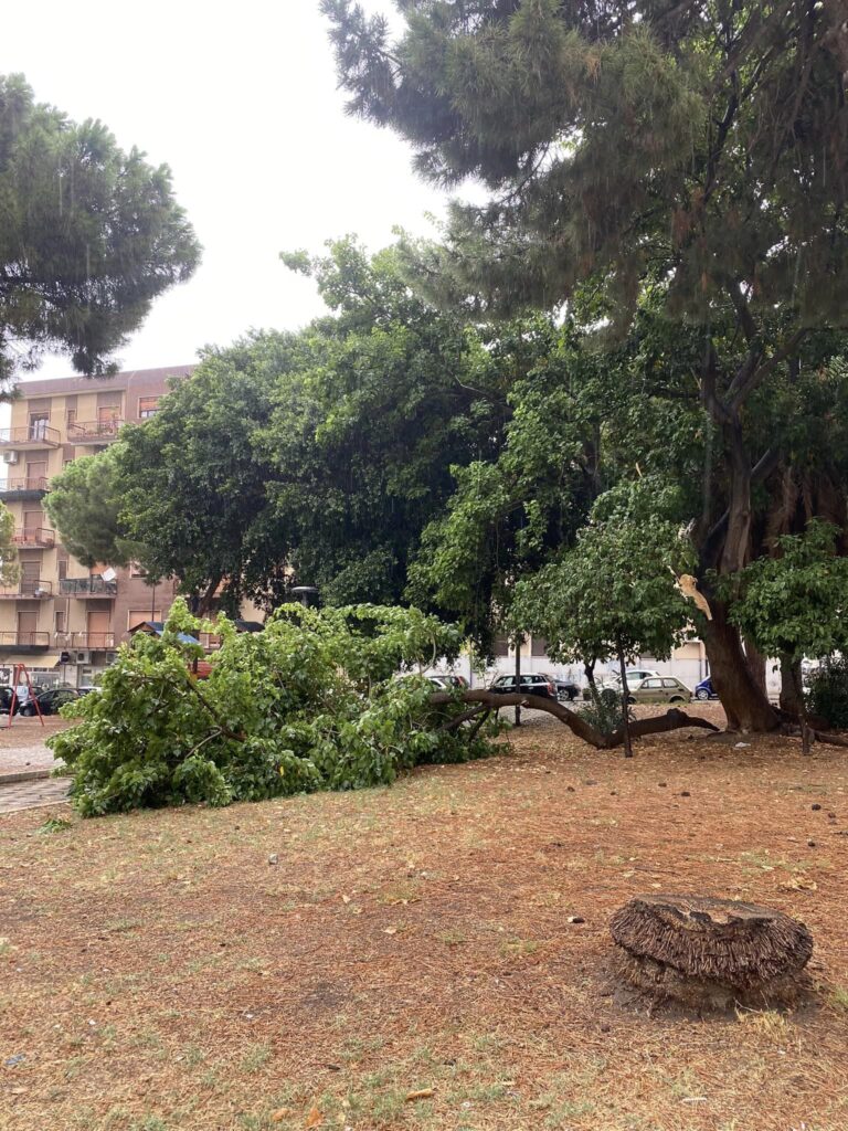 grosso ramo crolla piazzetta tremulini