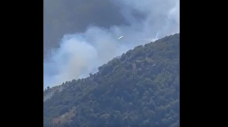 incendi aspromonte